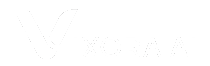 Vixora AI Logo